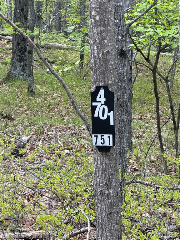 4701 Lake Road Property Photo 27