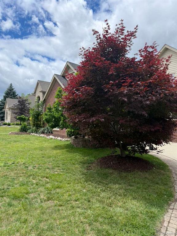 7782 Watford Drive Property Photo 17