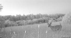 0 19 Mile Road Property Photo 1