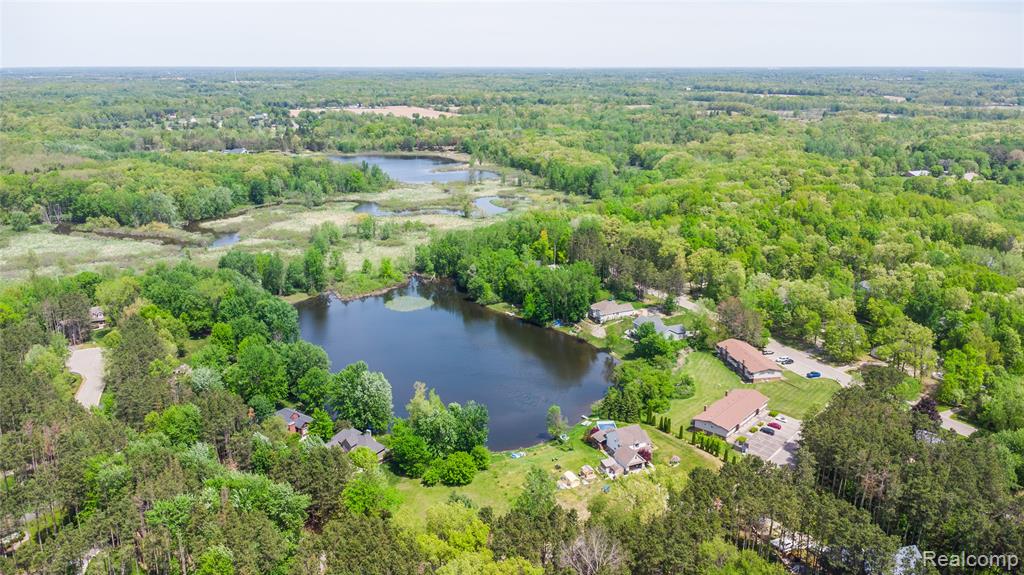 9076 Pineview Lake Court Property Photo 4