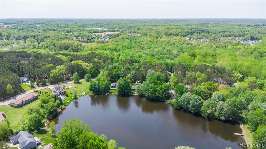 9076 Pineview Lake Court Property Photo 7