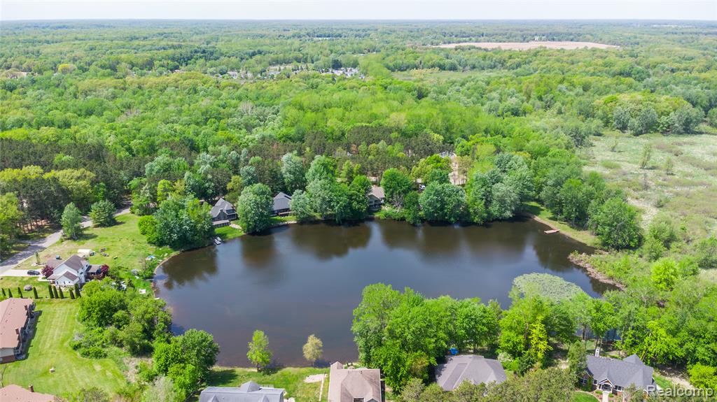 9076 Pineview Lake Court Property Photo 8