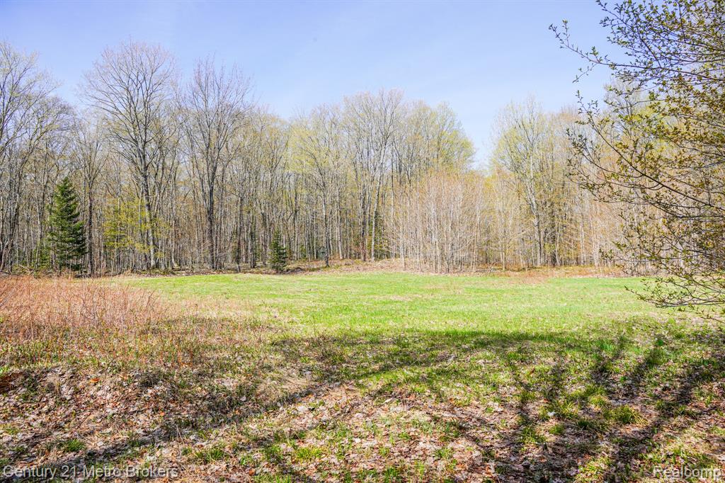 21821 Krenkel Property Photo 16