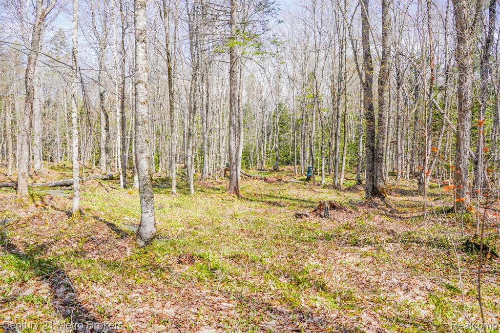 21821 Krenkel Property Photo 19