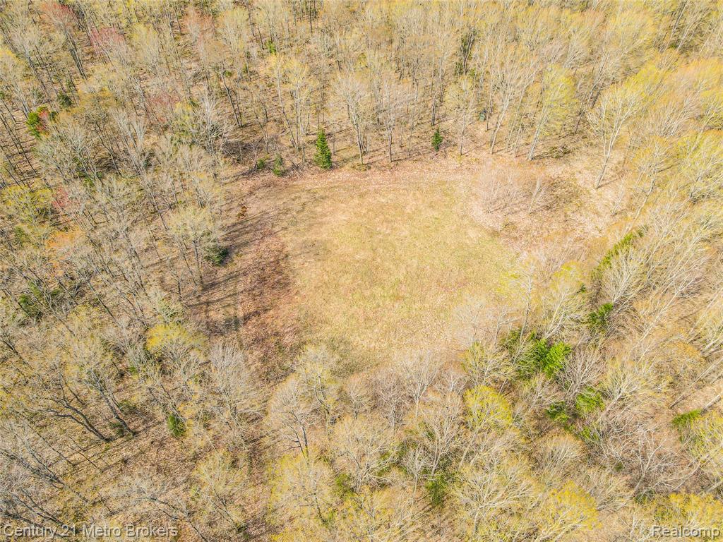 21821 Krenkel Property Photo 22