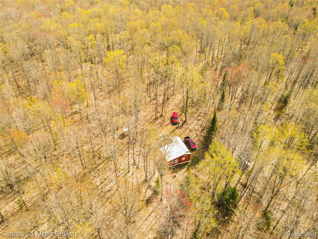 21821 Krenkel Property Photo 23