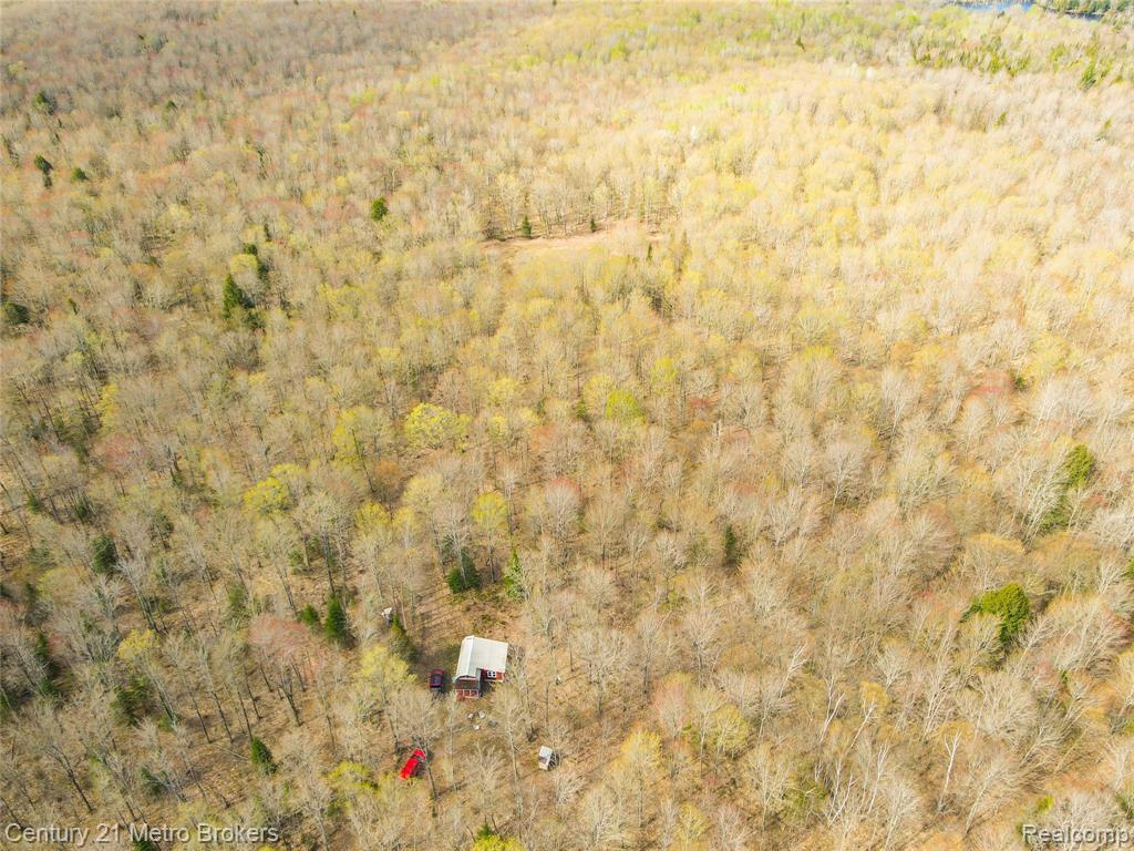 21821 Krenkel Property Photo 24