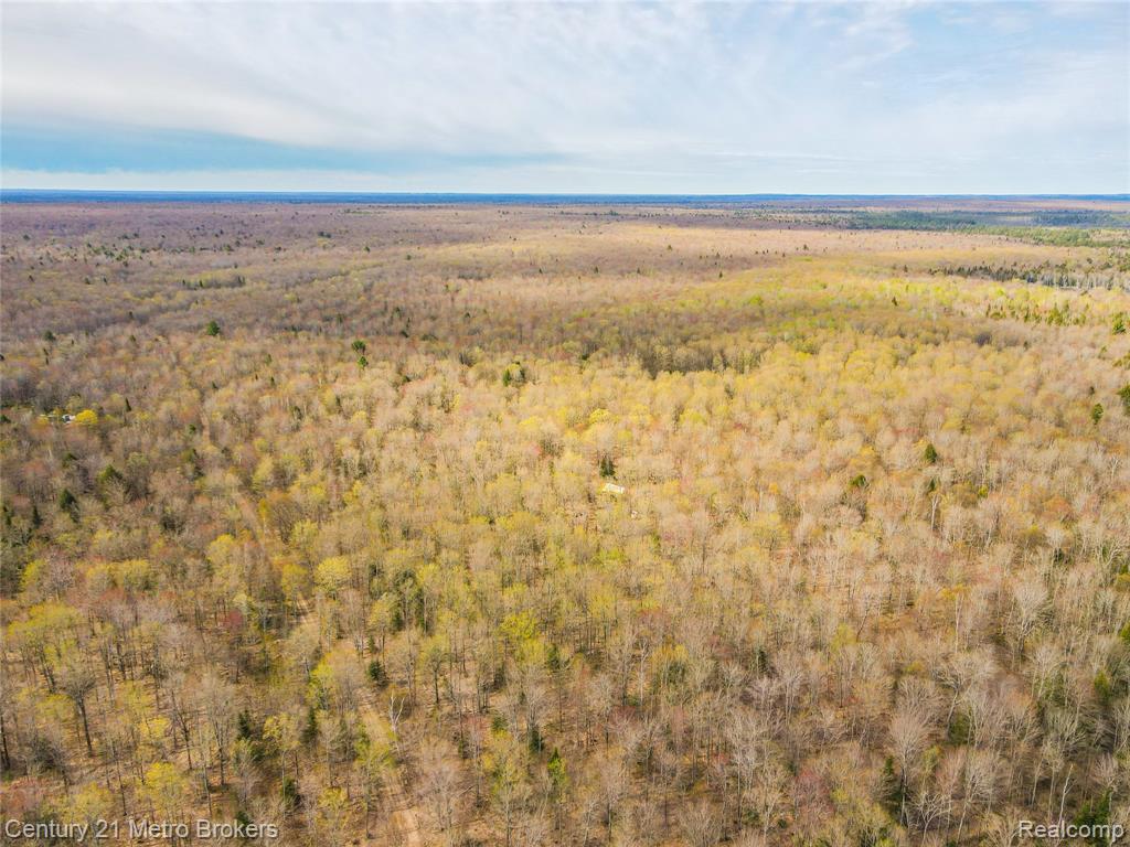 21821 Krenkel Property Photo 25