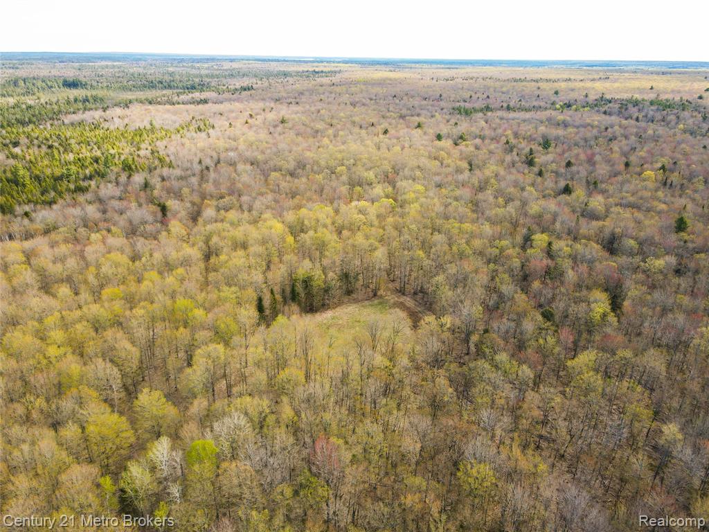 21821 Krenkel Property Photo 26