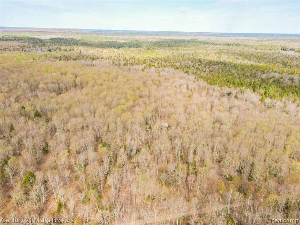 21821 Krenkel Property Photo 27