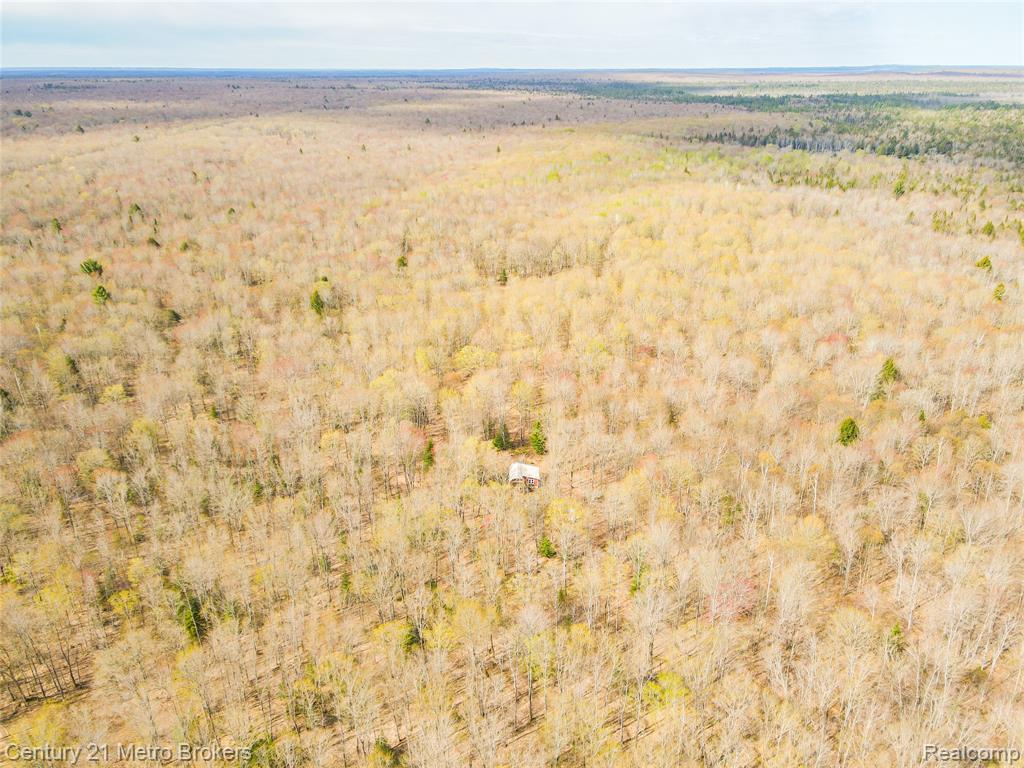 21821 Krenkel Property Photo 28
