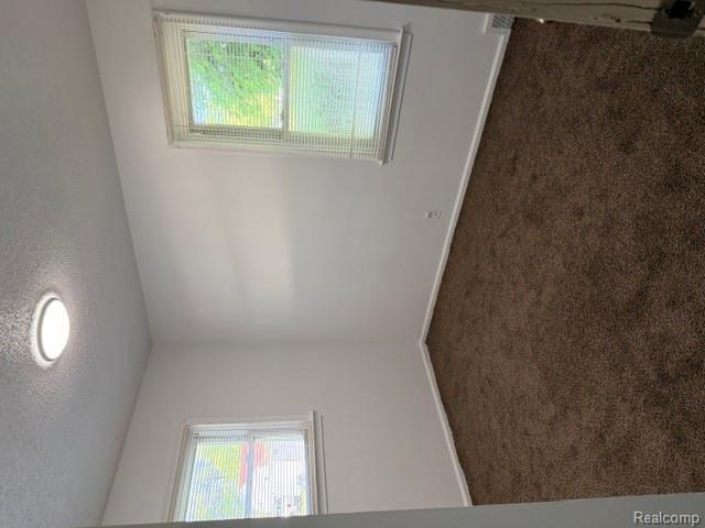 4701 Birchcrest Drive Property Photo 7