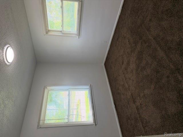 4701 Birchcrest Drive Property Photo 8