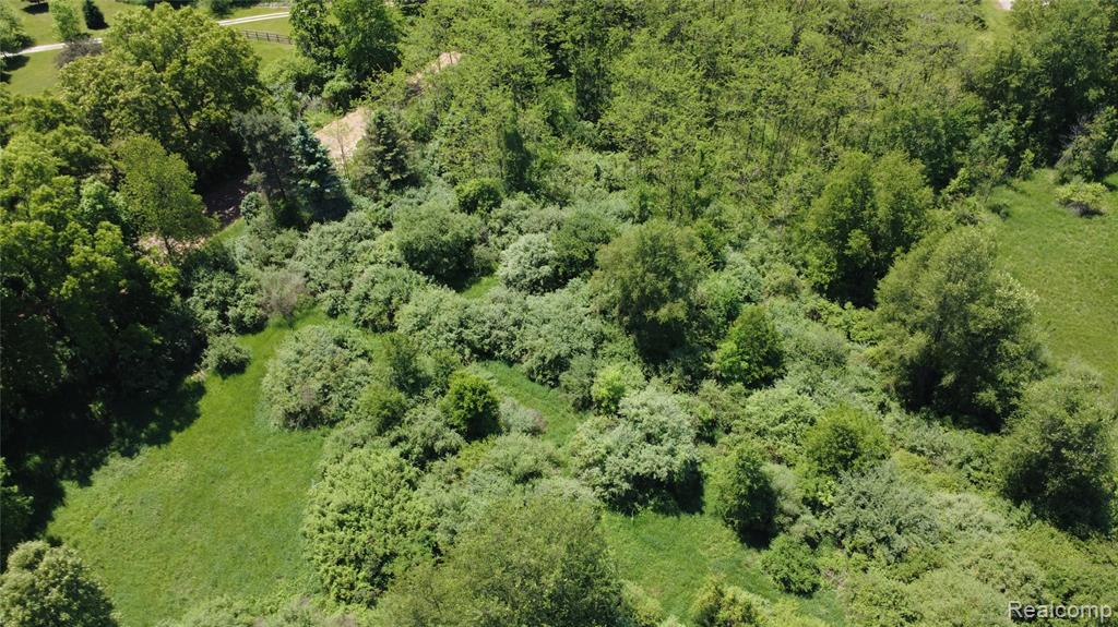 000 Wasson Road Property Photo 3