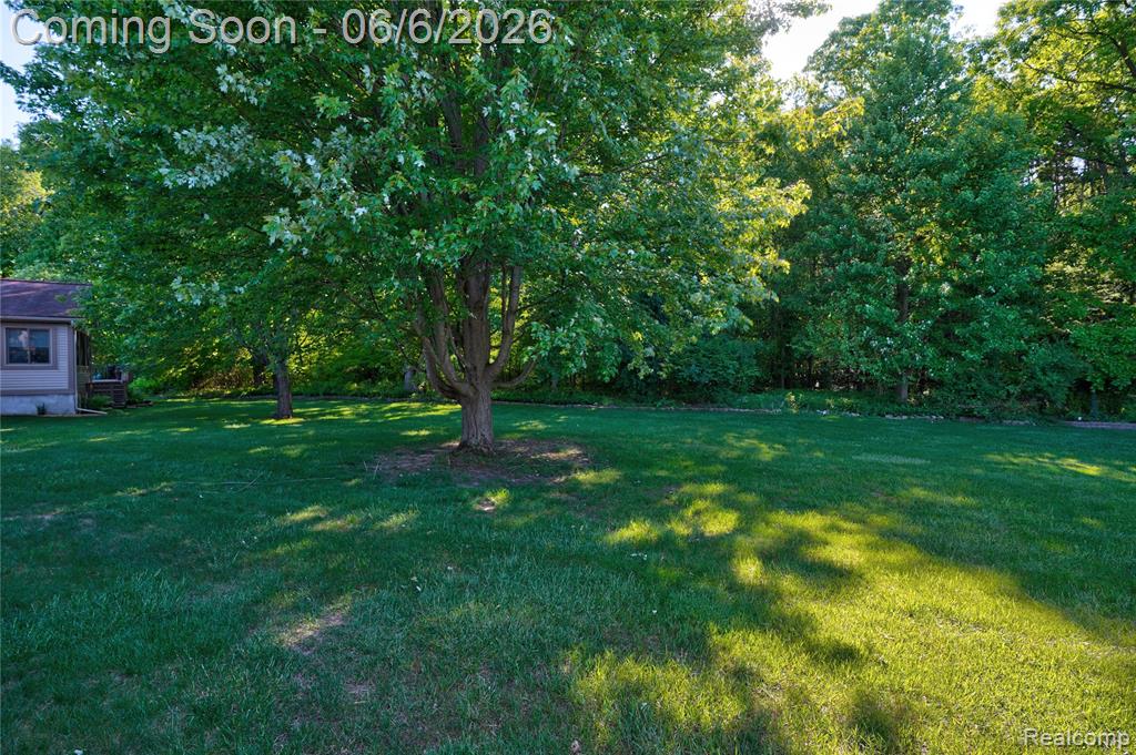 3433 Pinemeadow Court Property Photo 18