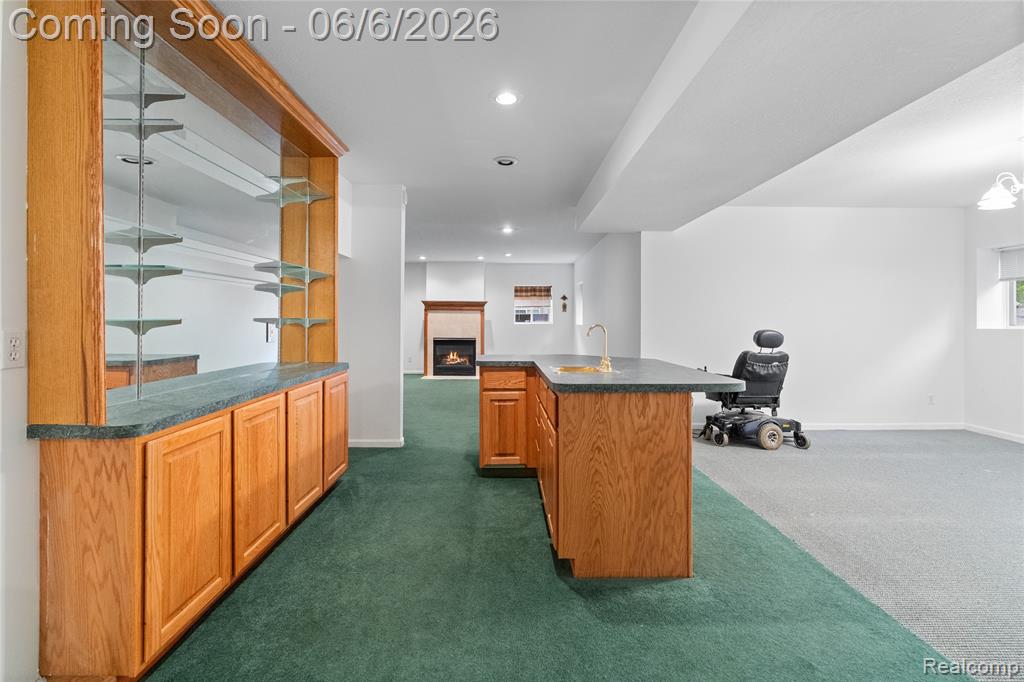 3433 Pinemeadow Court Property Photo 56