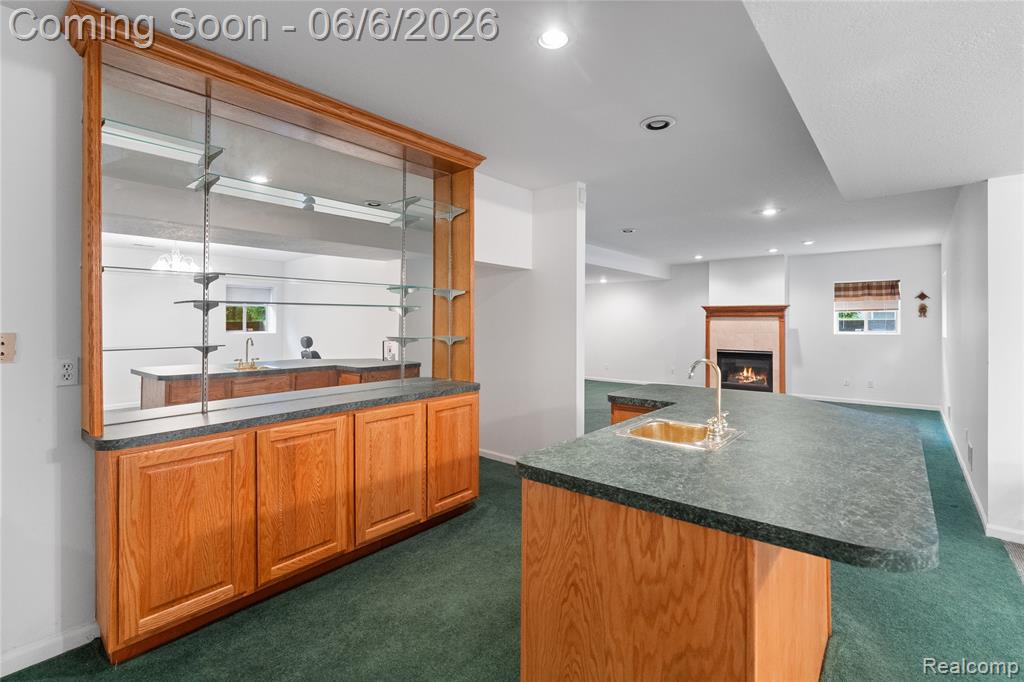 3433 Pinemeadow Court Property Photo 62