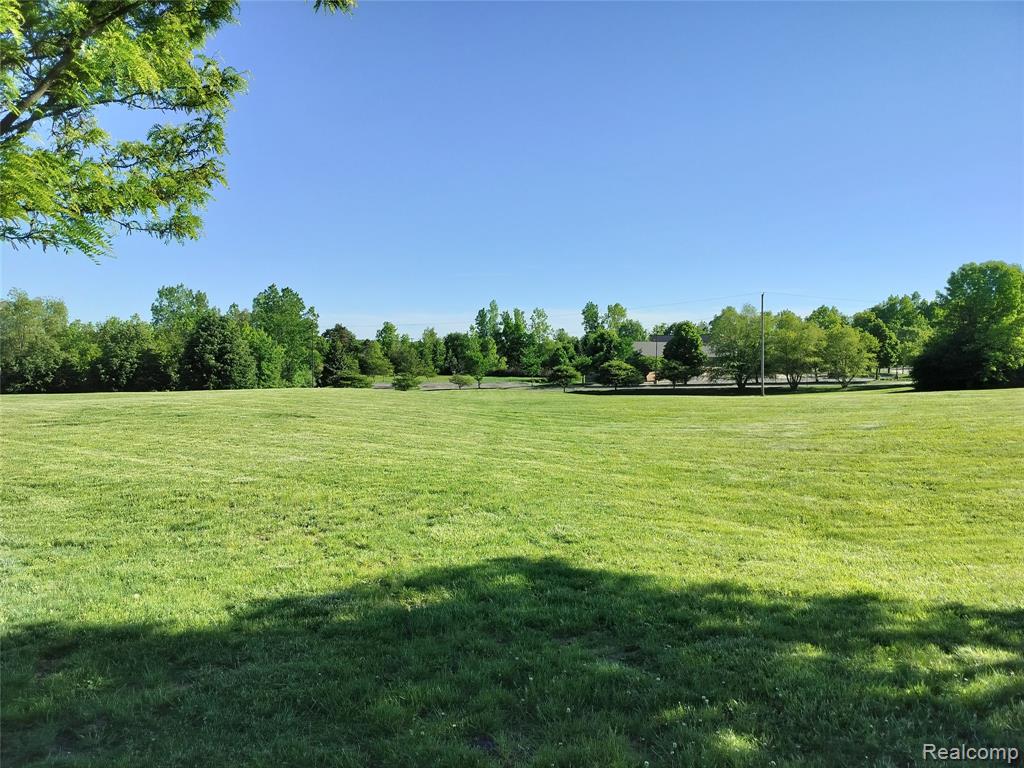 000 N Squirrel Road Property Photo 3