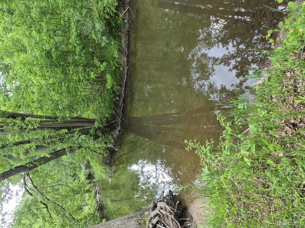 18073 Sharon Valley Road Property Photo 22