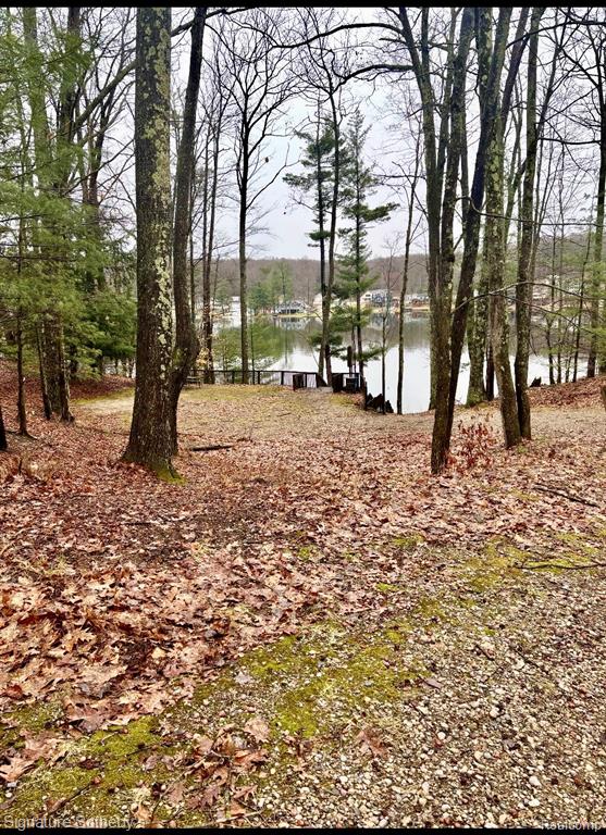 229 Forest Trail Property Photo 6
