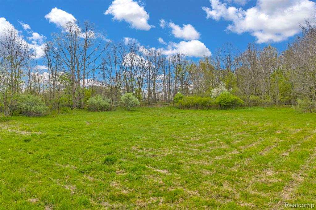 0 Martin Road Property Photo 14