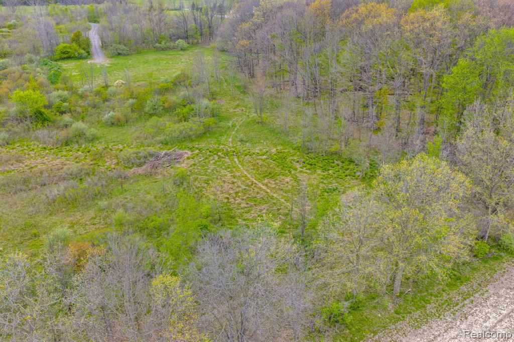 0 Martin Road Property Photo 19
