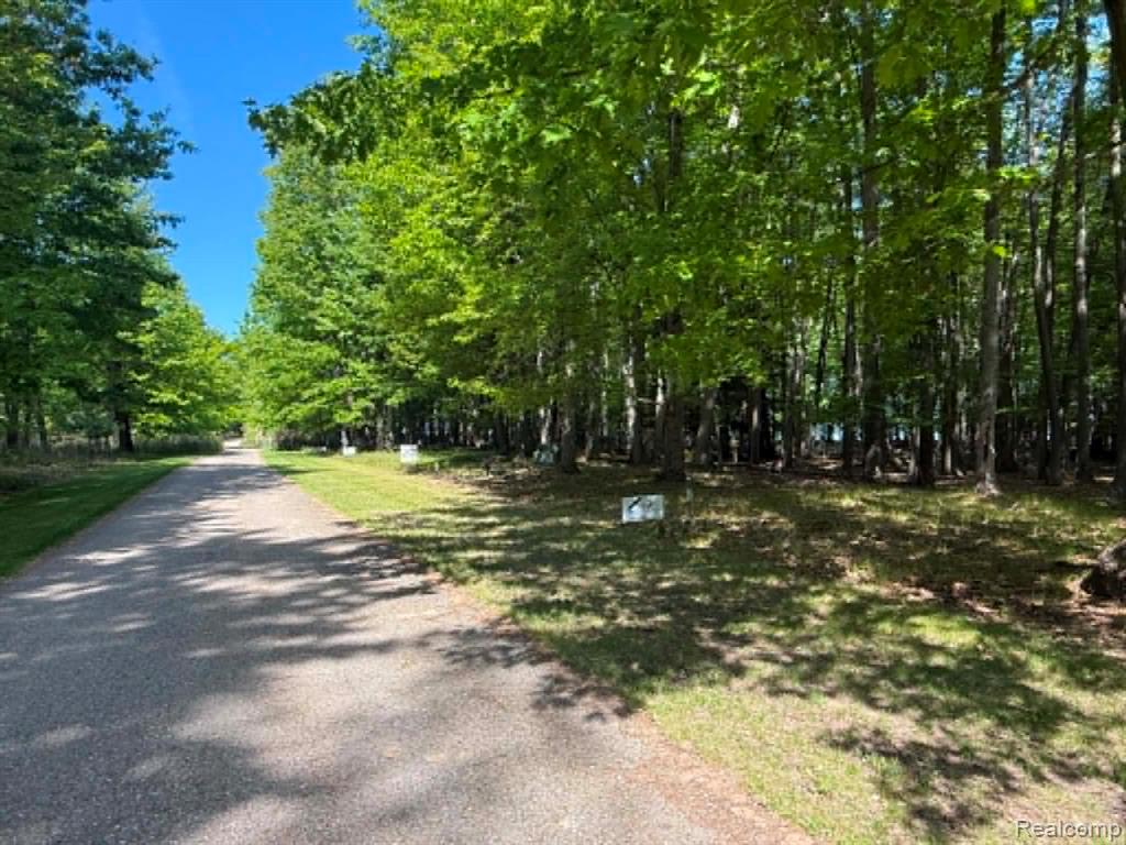 Lot 14 Towering Oaks Drive Property Photo 3