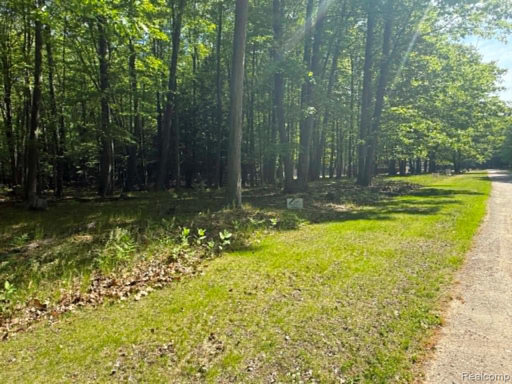 Lot 14 Towering Oaks Drive Property Photo 7