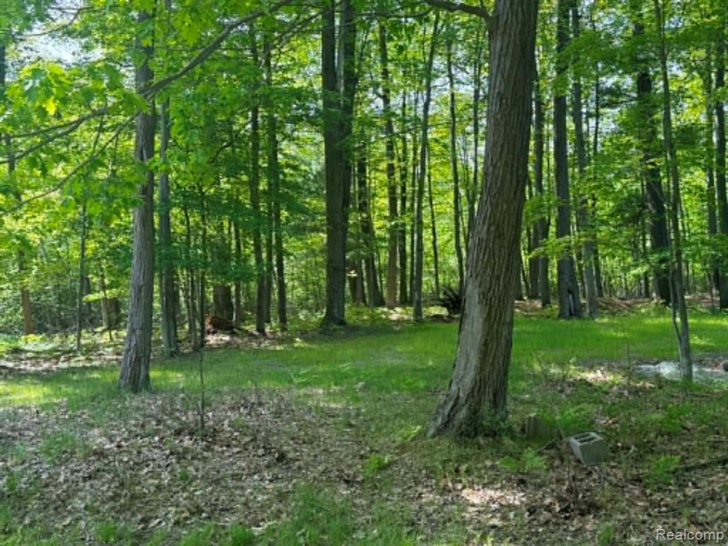 Lot 4 Towering Oaks Drive Property Photo 3