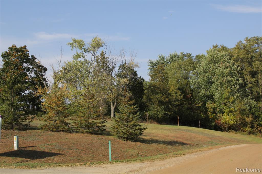 123 Bloomfield Lot#39 Boulevard Property Photo 7