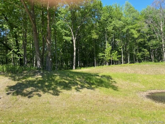 Lot 5 Dollar Ridge Lane Property Photo 1