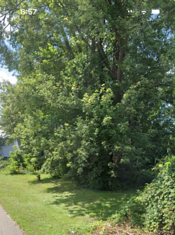 Wahrman Wahrman Property Photo 3