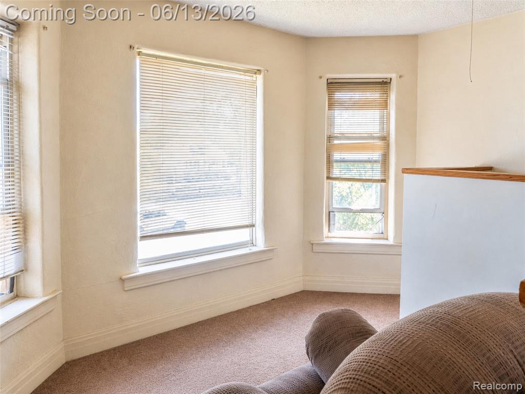 24362 Outer Drive Property Photo 22