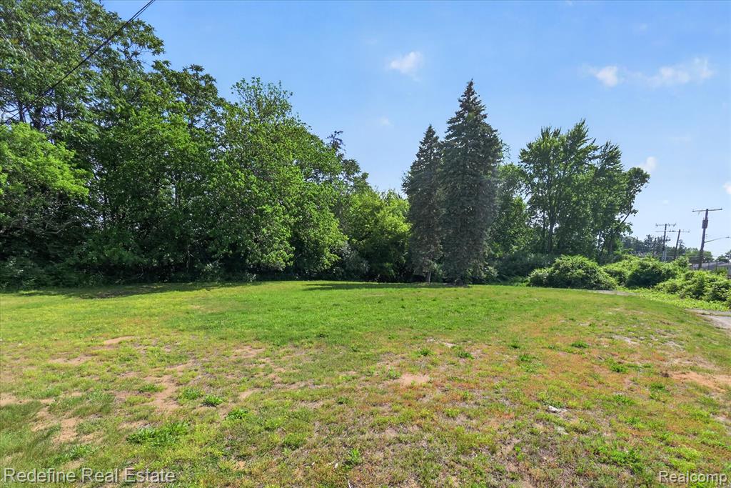 8304 Lanewood Street Property Photo 9