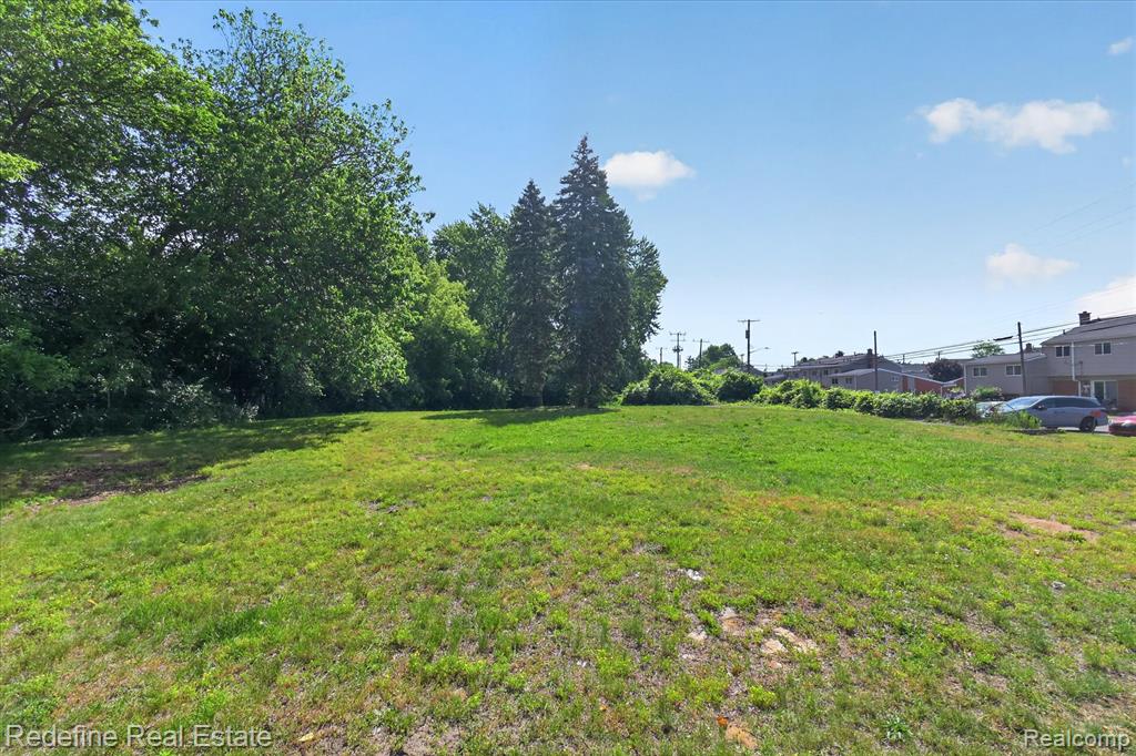 8304 Lanewood Street Property Photo 10
