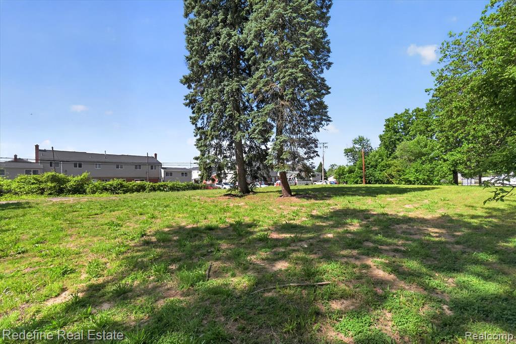 8304 Lanewood Street Property Photo 11