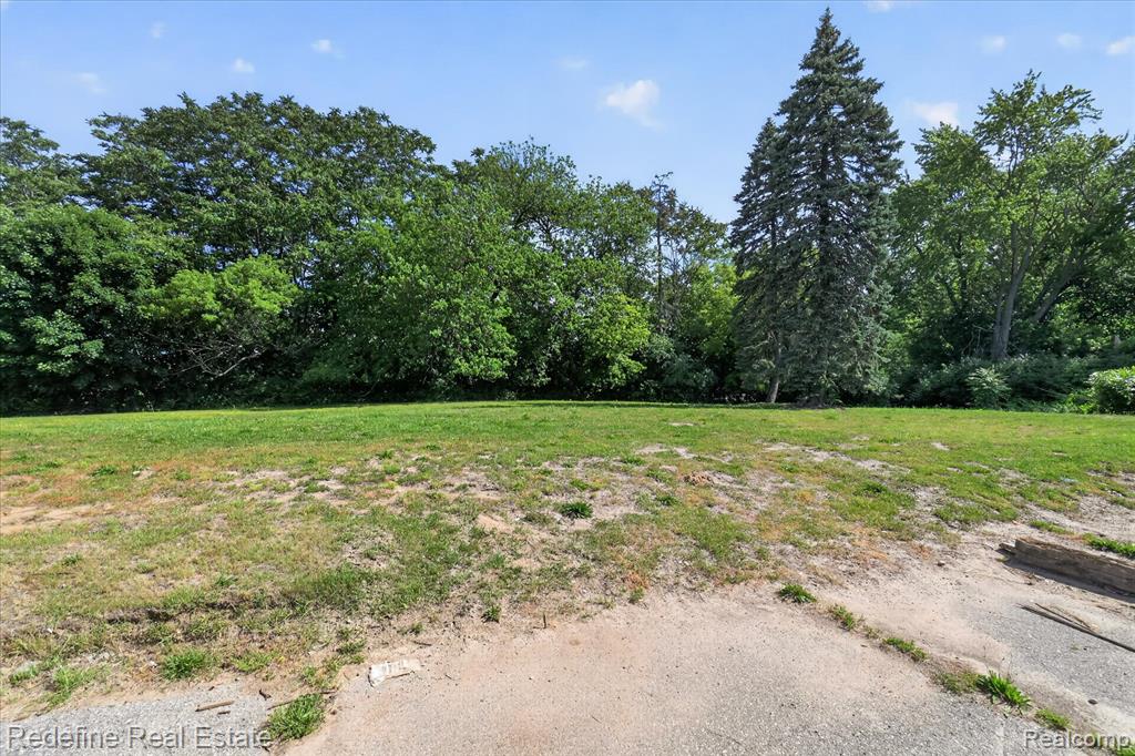 8304 Lanewood Street Property Photo 12