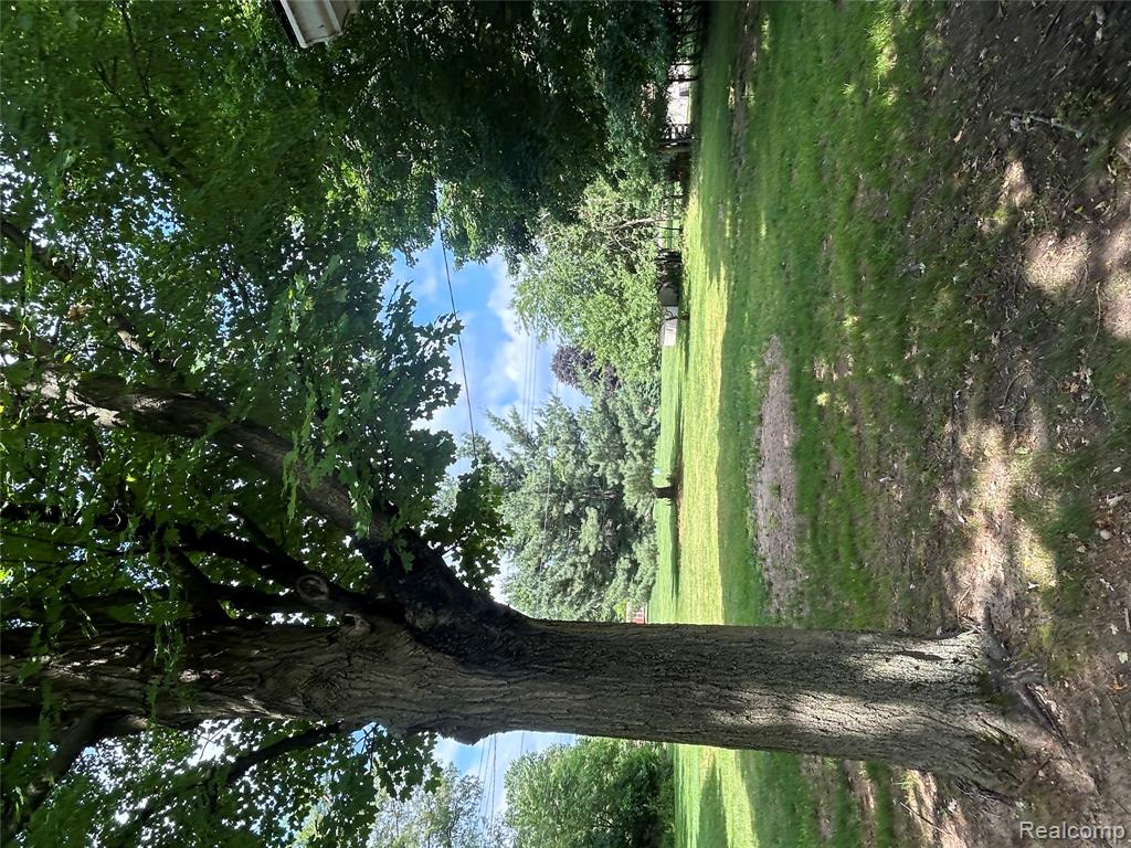 3364 Elder Road Property Photo 17
