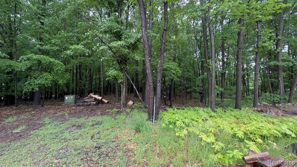 2608 E Sutton Road Property Photo 53