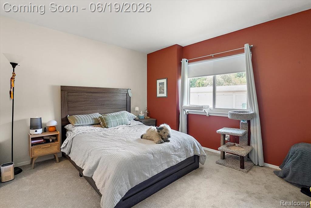 399 Spring Brooke Drive Property Photo 19