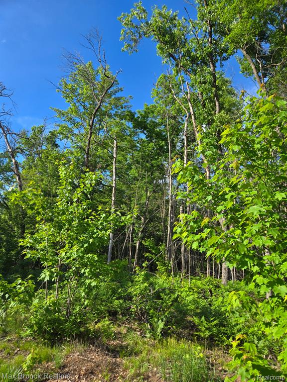 265 Huron Forest Drive Property Photo 25
