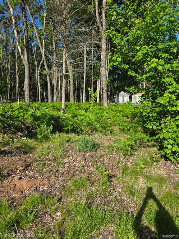 265 Huron Forest Drive Property Photo 28