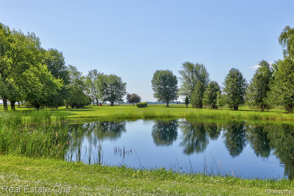 5848 Griggs Road Property Photo 45