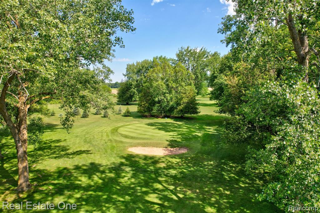 5848 Griggs Road Property Photo 56
