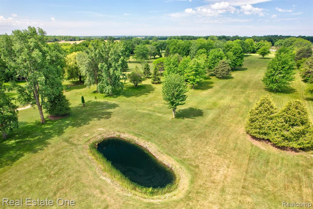5848 Griggs Road Property Photo 63