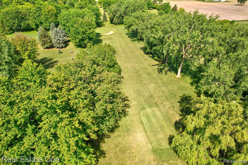 5848 Griggs Road Property Photo 64