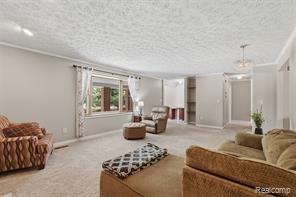 3843 Hooker Road Property Photo 4