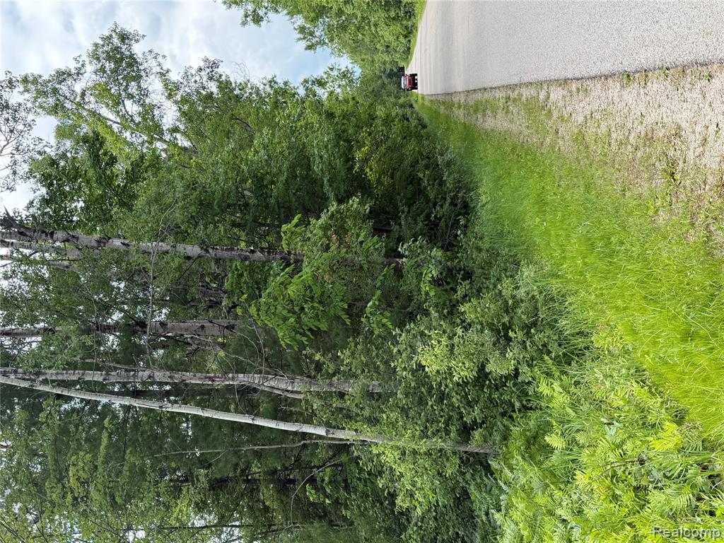 4670 Birch Lane Property Photo 12