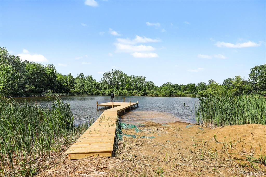 4202 Kingston Road Property Photo 13