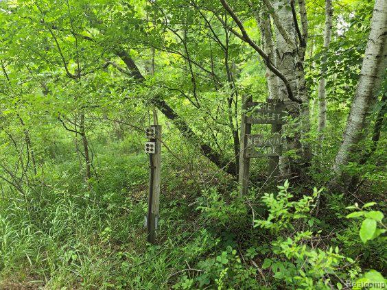 4202 Kingston Road Property Photo 34